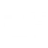Logo-Borrelli